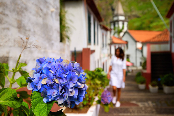 Loma Madeiralla. Keski-ikäinen nainen pitkät hiukset yllään valkoinen mekko kellot sininen hortensia kukkia kadulla Sao Vicente kylä, Madeira. - Valokuva, kuva