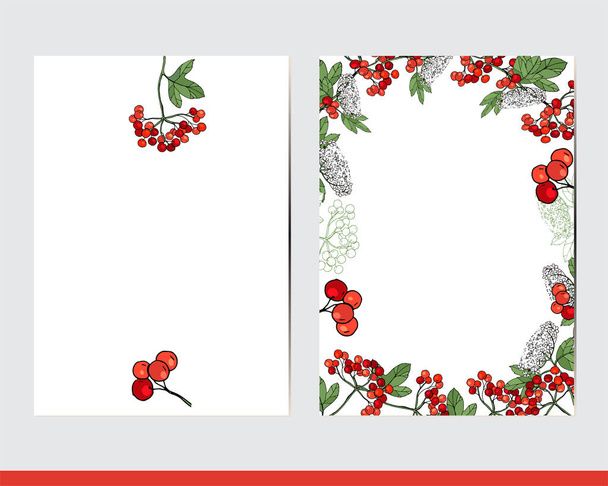 Greeting cards with floral elements. Decor with herbs and berries - Wektor, obraz