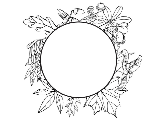 Round frame with different autumn leaves. Blank circle with space for text - Vecteur, image