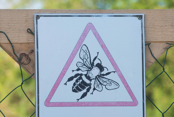 symbol zachodniej pszczoły miodnej lub europejskiej pszczoły miodnej (Apis mellifera) - Zdjęcie, obraz