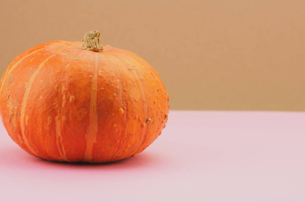 A closeup shot of pumpkin on a pink surface - Foto, Imagem