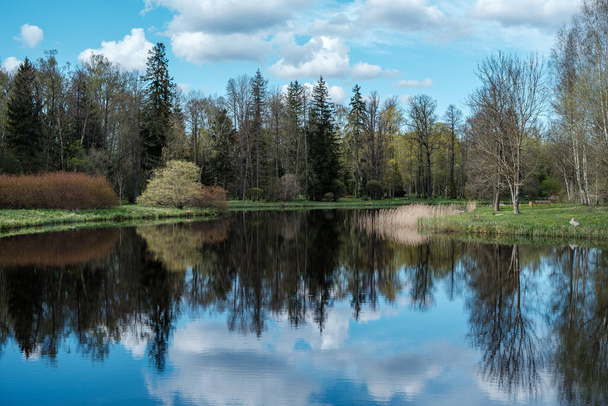 odbicia niebieskiego nieba w czystym stawie wodnym z drzewami źródlanymi i powierzchnią lustra - Zdjęcie, obraz