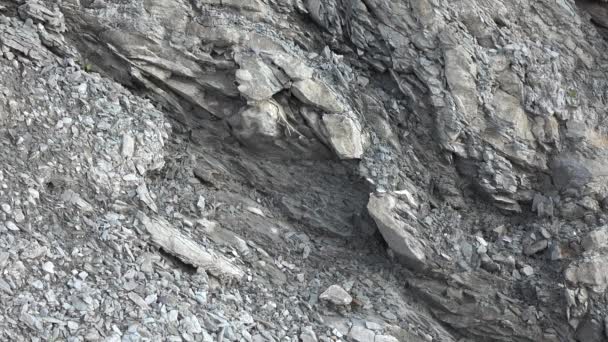 primer plano de las imágenes de las rocas de fondo - Metraje, vídeo