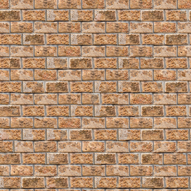 Coquina Wall. Seamless Tileable Texture. - Photo, Image