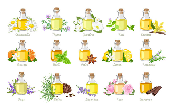 Set de aceites esenciales en frascos de vidrio, hierbas y flores. Ilustración vectorial en estilo plano de dibujos animados. Aromaterapia. - Vector, imagen