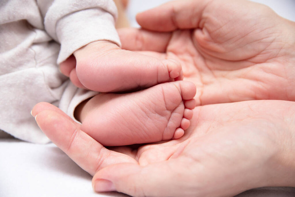 Newborn babys feet in moms palms. Frank appeal. Symbol of protection and love. - Φωτογραφία, εικόνα
