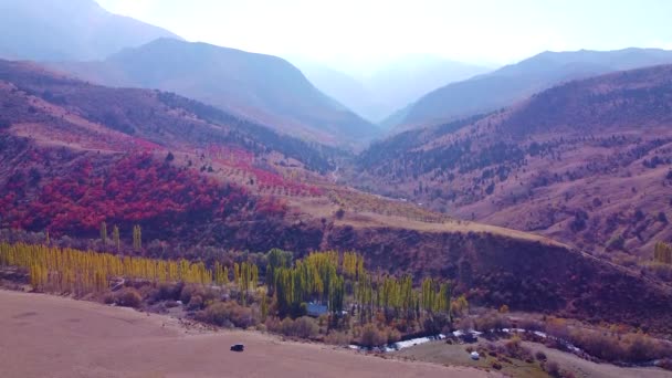 Élénk vörös fák ősszel egy hegyi lejtőn. repülés fantasztikus kertek felett - Felvétel, videó