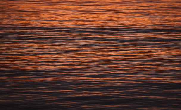 Beautiful gold sunset light on Adriatic Sea water surface - Fotografie, Obrázek