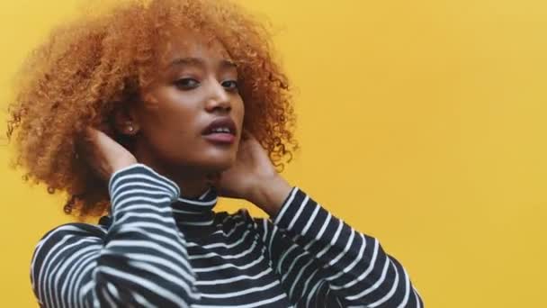 Gyönyörű fiatal afro-amerikai fekete nő mutatja be az új göndör frizura - Felvétel, videó