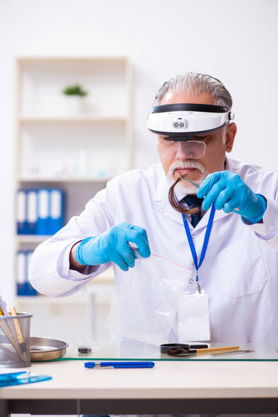 Old male expert criminologist working in the lab for evidence - Photo, Image