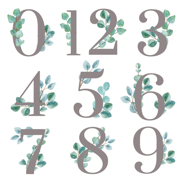Numbers decorated with watercolor eucalyptus leaves. Greenery numbers for wedding and holiday design. - 写真・画像