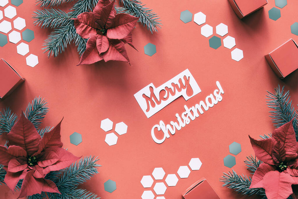 Poinsettia and fir twigs on orange paper with white hexagons. Text Merry Christmas. Top view, dual-color design, trendy geometric background. - Zdjęcie, obraz