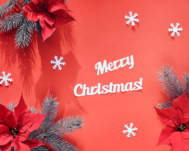 Poinsettia and fir twigs on orange paper with white snowflakes. Text Merry Christmas. Top view, dual-color design. Trendy geometric background with long shadows. - 写真・画像