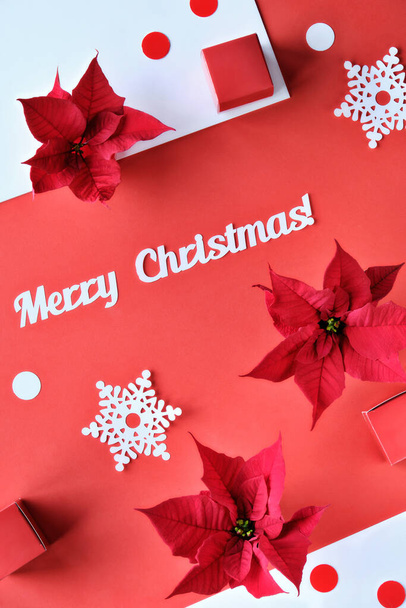 Text Merry Christmas. Poinsettia, snowflakes, red white paper confetti. Top view, monochrome design. Trendy geometric background with long shadows. - Foto, immagini