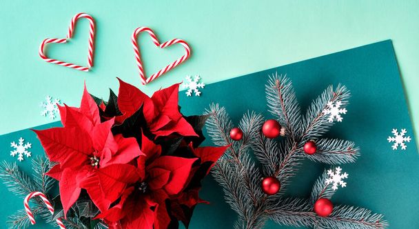 Christmas two tone festive background on green paper. Flat lay with poinsettia, fir twigs, red baubles, heart shapes from candy canes and snowflakes. - Foto, imagen