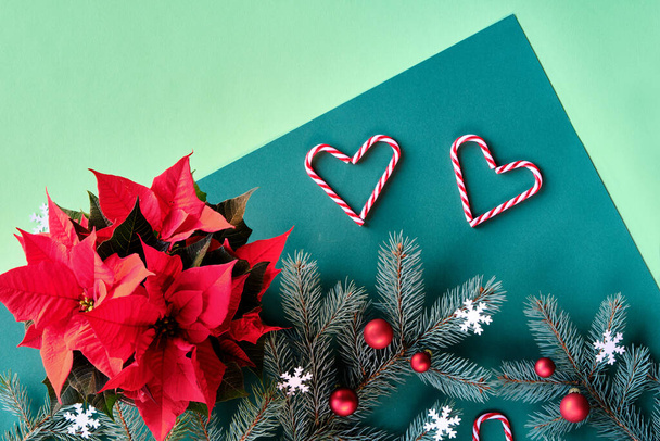 Christmas two tone festive background on green paper. Top view on poinsettia, fir twigs, red baubles, heart shapes from candy canes and snowflakes. - Φωτογραφία, εικόνα