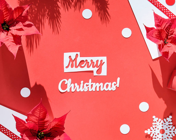 Poinsettia, snowflakes, red white paper confetti. Text Merry Christmas. Top view, monochrome design. Trendy geometric background with long shadows - Foto, immagini