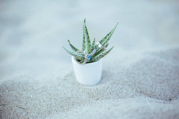 krásné snubní prsteny na vrcholu šťavnaté s modrým diamantem na letní písečné pláži. svatební detaily na písku. - Fotografie, Obrázek
