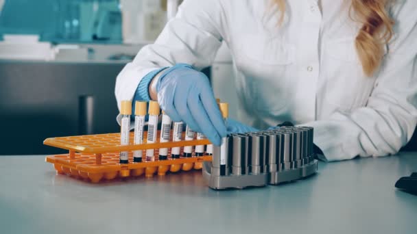 Stand with test tubes for blood tests. Lab assistant in gloves putting blood test tubes in rack or holder close up. - Footage, Video