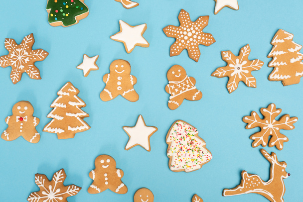 top view of winter gingerbread cookies on blue background - 写真・画像