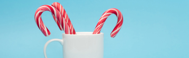 candy canes in white mug isolated on blue background, banner - Φωτογραφία, εικόνα