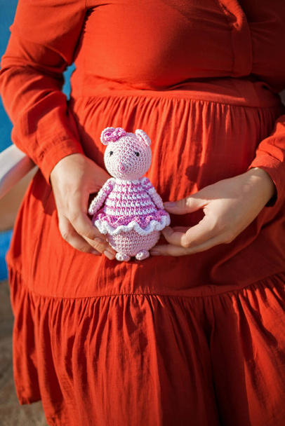 lelu hiiren muodossa raskaana olevan naisen käsissä. Käsitys lapsen syntymiseen valmistautumisesta, raskausvalokuva - Valokuva, kuva