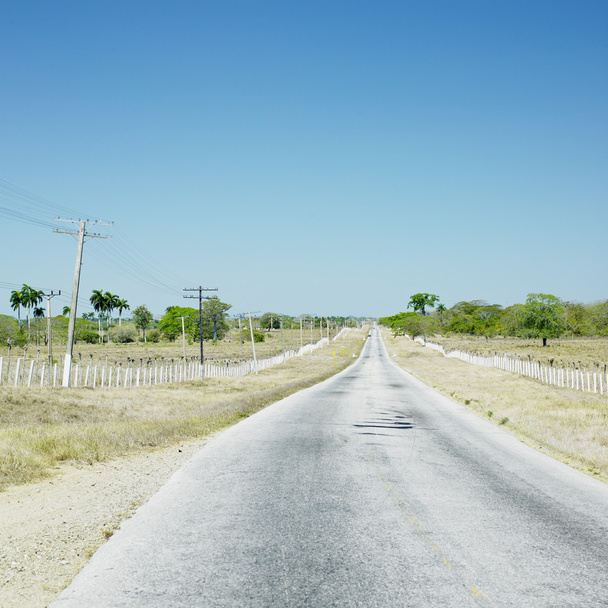 Road, provincie Camagüey, cuba - Foto, afbeelding