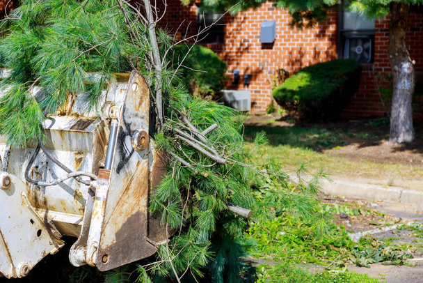 Экскаватор очистка земли от корней и ветвей деревьев с грязью и мусорный двор работы экскаватор машины - Фото, изображение