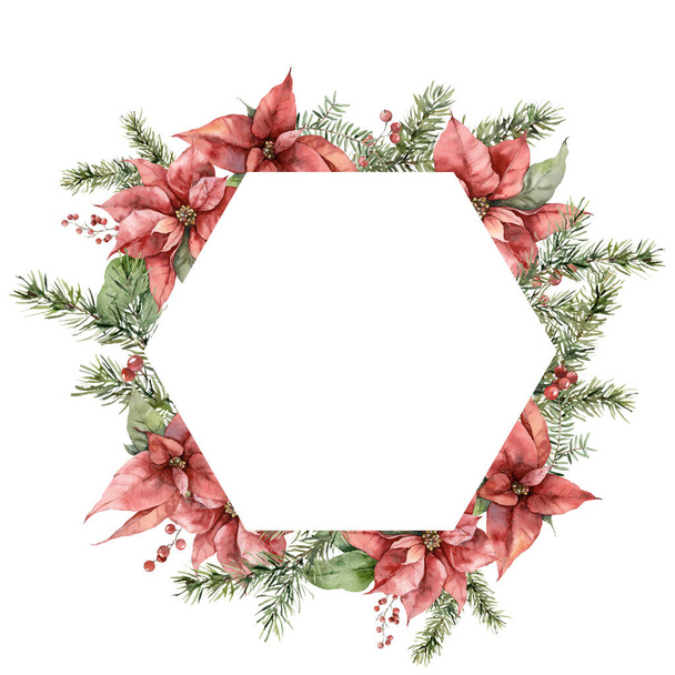 ポインセチア、モミの針と果実の水彩クリスマスフレーム。花や葉が白い背景に隔離された手描きの休日カード。デザイン、プリント、背景のイラスト. - 写真・画像