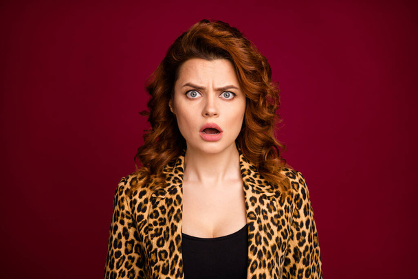 Close-up portrait of her she nice-looking attractive lovely pretty outraged disappointed wavy-haired lady bad news expression isolated over dark maroon burgundy marsala color background - Photo, Image