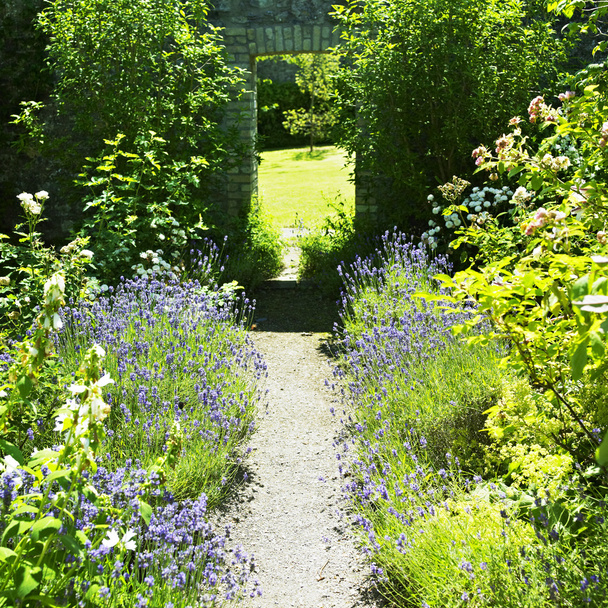 jardines del castillo de Ballinlough - Foto, Imagen