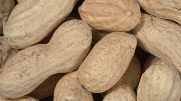 Drehen von Erdnüssen aus nächster Nähe. Erdnüsse werden in der Haut ungeschält. - Filmmaterial, Video