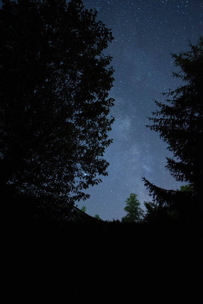 Milky way seen through the forest trees - Fotoğraf, Görsel