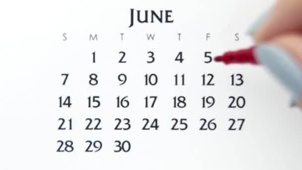 Giorno di cerchio di mano femminile in data di calendario con un marcatore rosso. Business Nozioni di base Wall Calendar Planner e organizzatore. 5 giugno - Filmati, video