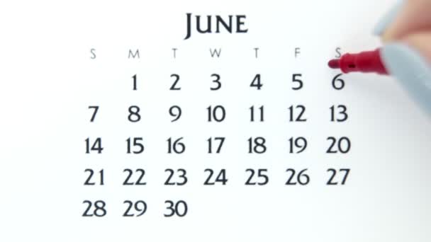 Női kéz kör nap naptár dátum egy piros marker. Üzleti alapok Falinaptár tervező és szervező. Június 6. - Felvétel, videó