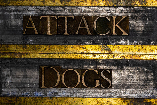 Texto de Attack Dogs sobre plomo texturizado con cobre grunge y fondo dorado vintage - Foto, imagen