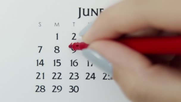 Női kéz kör nap naptár dátum egy piros marker. Üzleti alapok Falinaptár tervező és szervező. Június 9. - Felvétel, videó