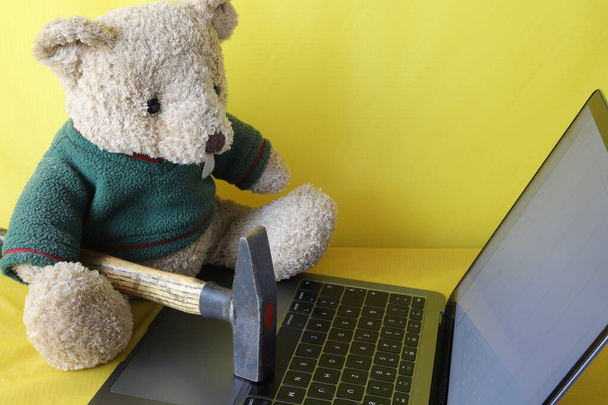 oso de peluche con martillo trabajando en el ordenador portátil - Foto, Imagen