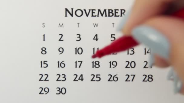 Día de círculo de la mano femenina en la fecha del calendario con un marcador rojo. Conceptos básicos de negocio Wall Calendar Planner and Organizer. 24 de noviembre - Imágenes, Vídeo