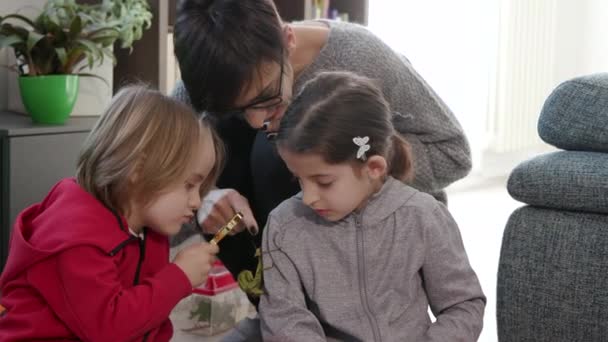 Happy family playing with stick insects or walking sticks as pets. Mom and children having fun with small animals, learning and watching it. Hobby and science education at home - Imágenes, Vídeo