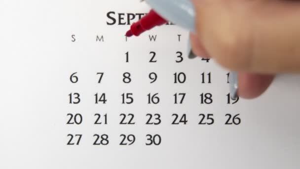 Día de círculo de la mano femenina en la fecha del calendario con un marcador rojo. Conceptos básicos de negocio Wall Calendar Planner and Organizer. 1 de septiembre - Metraje, vídeo