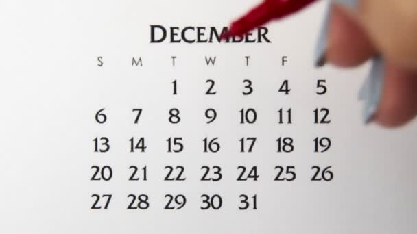 Weiblicher Handkreistag im Kalenderdatum mit roter Markierung. Business Basics Wall Calendar Planer und Organisator. 1. Dezember - Filmmaterial, Video