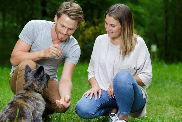 couple playing with a dog in a park - Foto, imagen