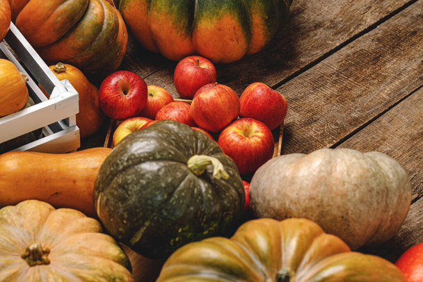 Autumn harvest of pumpkins and apples on wooden board - Фото, изображение