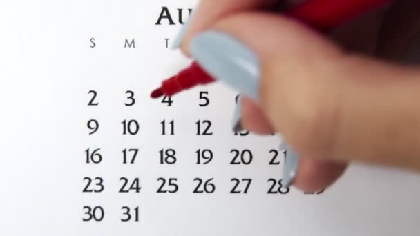 Día de círculo de la mano femenina en la fecha del calendario con un marcador rojo. Conceptos básicos de negocio Wall Calendar Planner and Organizer. 10 de agosto - Imágenes, Vídeo