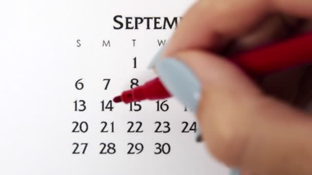 Día de círculo de la mano femenina en la fecha del calendario con un marcador rojo. Conceptos básicos de negocio Wall Calendar Planner and Organizer. 14 de mayo - Metraje, vídeo