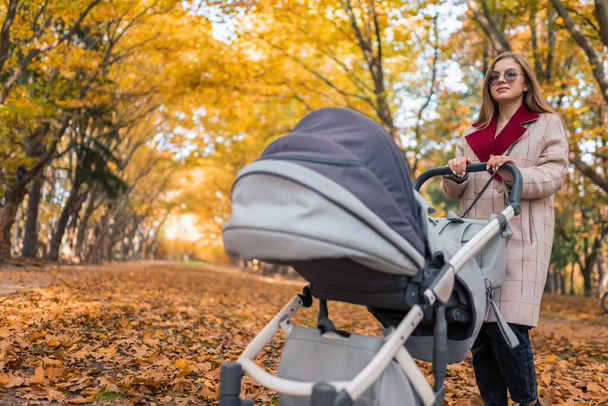 Portrait of young mother with pram in an autumn park - Photo, Image