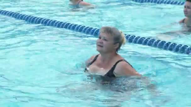 Idősebb nők a medence vízi tornatermét edzik. - Felvétel, videó