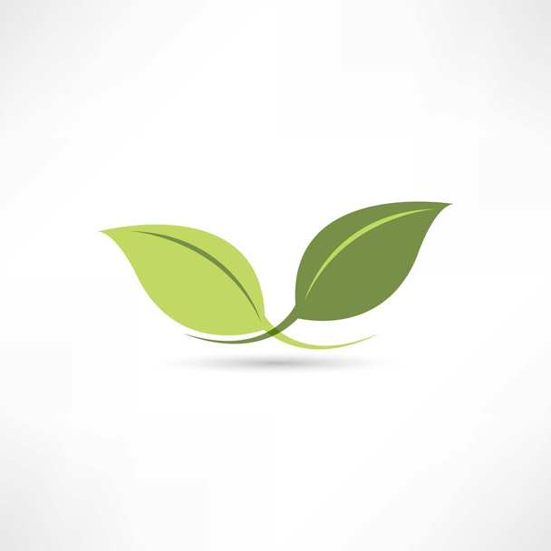 plant icon - Vector, Image