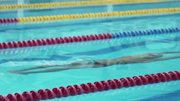 Professional swimmer strat swimming in pool - Footage, Video